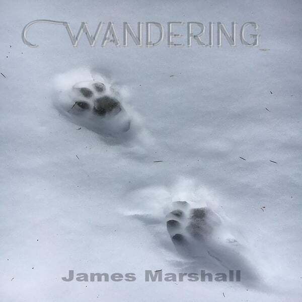 Cover art for Wandering